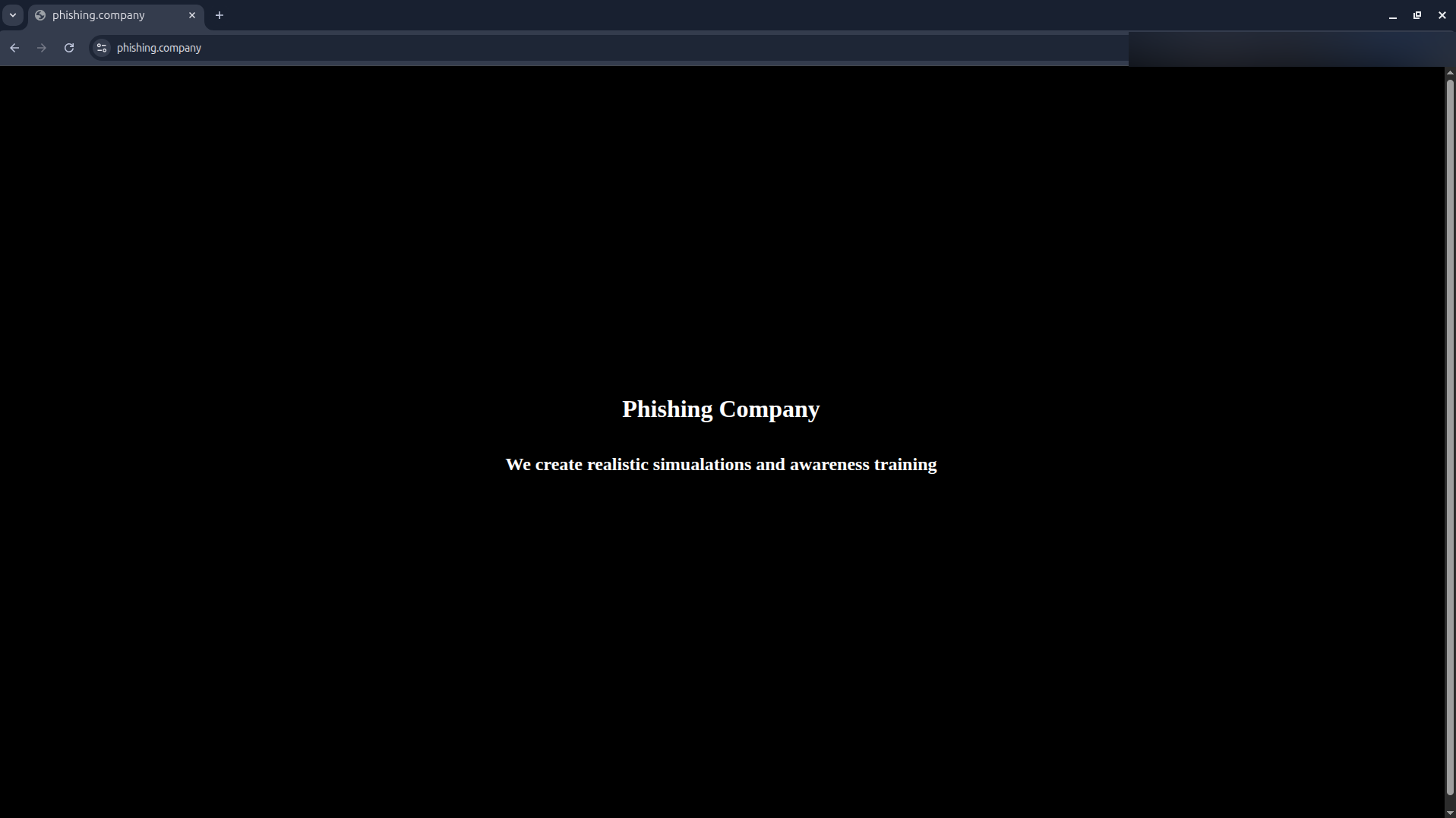 Visiting the domain shows the content