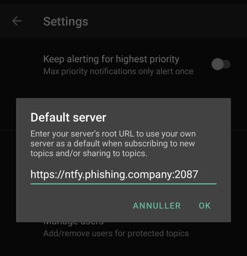 Setting our custom NFTY server URL